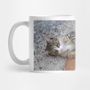 Cute Eddie Kitten Portrait Mug